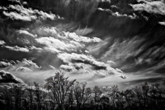 Dark Winter Sky