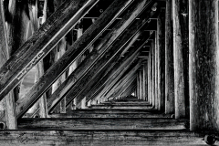 Right Triangles Ad Infinitum