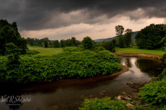 Forecasting the Best Photography