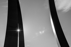Sunburst Silhouette