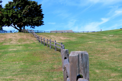 Hilltop Fence