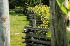 Fence 1