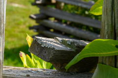 Fence 2