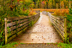 Round Lake Preserve Walkway