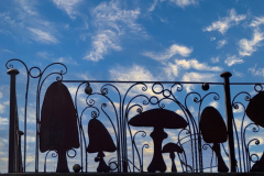 Shrooms Fence