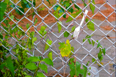 Fence And Fork