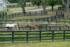Don't Fence Me In