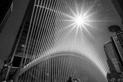 Sunburst And Shadows