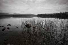 Early Morning At Paradox Lake