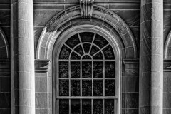 The Window