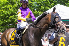 Purple Jockey Silks