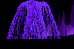 Light Show At Longwood Gardens