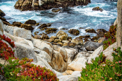 Pebble Beach Cove California