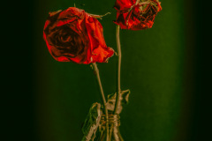 Red Flowers