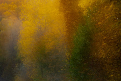 Abstract Fun In The Fall