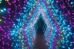 The Lights At Naumkeag