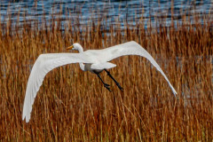 Take Off