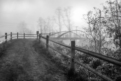 Misty Morning