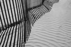Beach Fence And Shadow