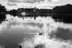 The Crossings