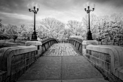 Crossing Realms