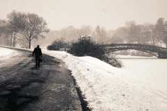 Flurry Walk