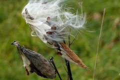 Flowing In The Wind