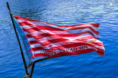 Flag In The Wind