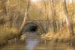 The River Runs Through It