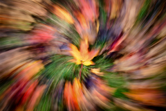 Autumn Vortex
