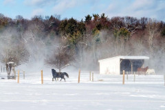 Winter At The Barn