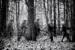 Mysterious Apparition