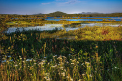Tupper Evening