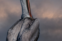 On Watch