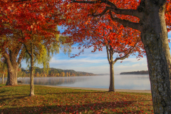 Autumn Colors