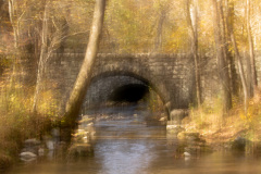 Move Over Monet