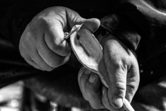 The Woodworker