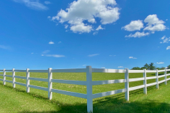 White Fence Summer