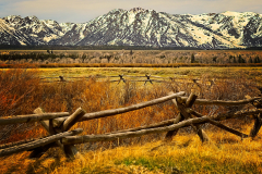 Teton Ranch