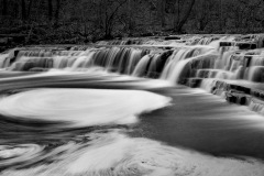 Waterscape