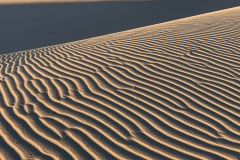 The Wind's Artistry