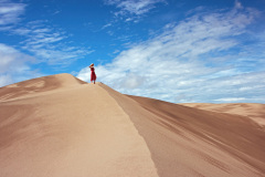 Desert Encounter