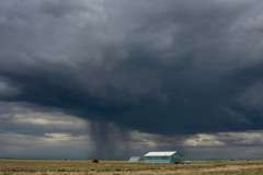 Facing The Storm Alone