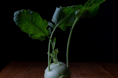 Kohlrabi