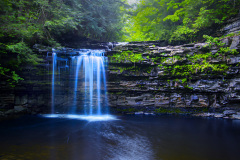 Spring At Christman Falls