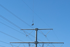 Powerline Workers