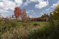 Fall Colors In The Adirondacks