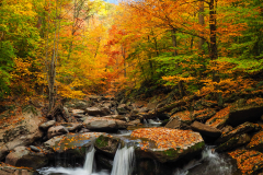 Heavenly Fall