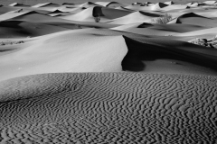 Windswept Dunes