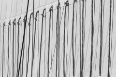 Reefing Lines